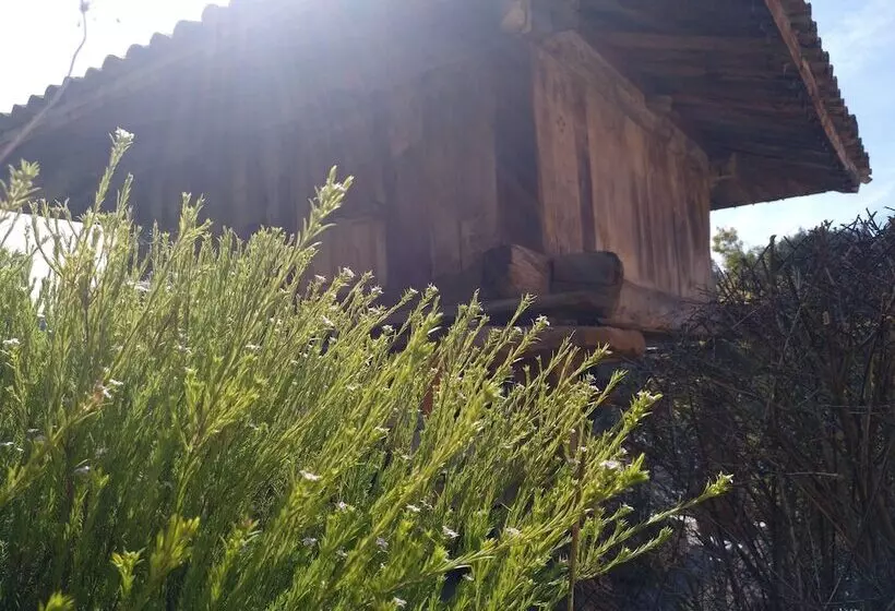 Apartamentos Rurales Obaya