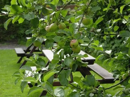 호텔 Coorie Inn Restaurant And Rooms