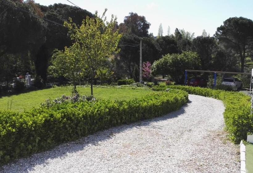 فندق Casa Grande