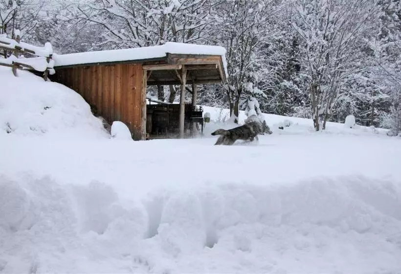 ホテル Grubhof Appartements