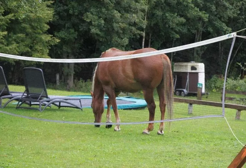 ホテル Grubhof Appartements