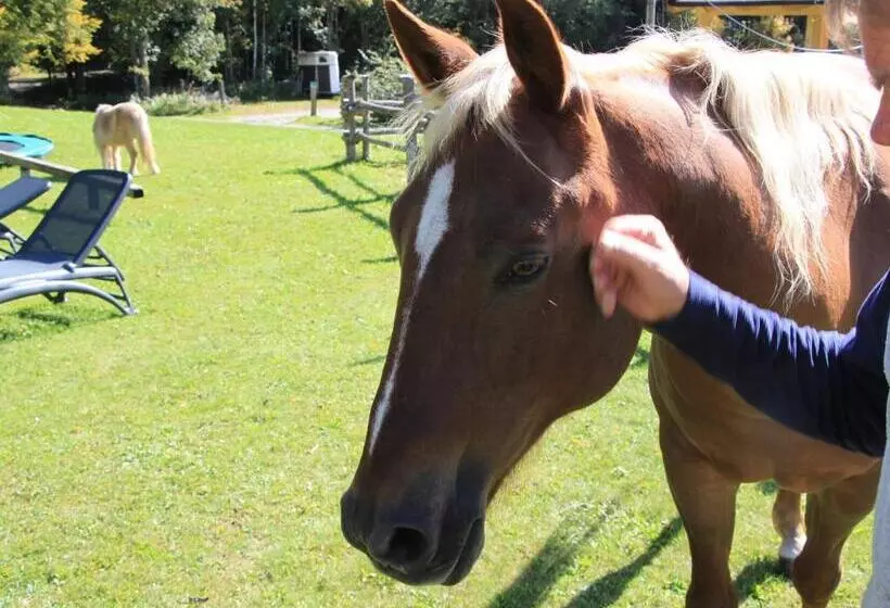 ホテル Grubhof Appartements