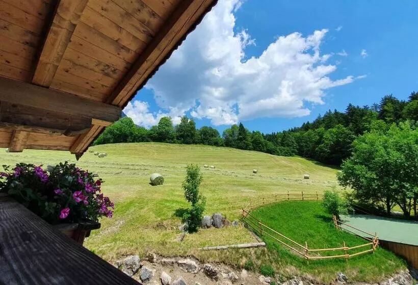 ホテル Grubhof Appartements