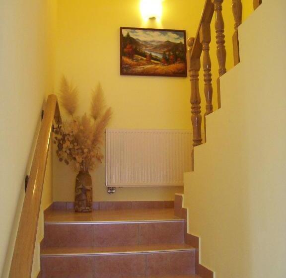 Отель House Mara