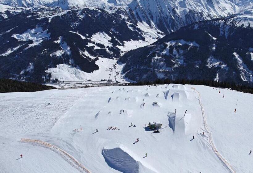 酒店 Maria Theresia