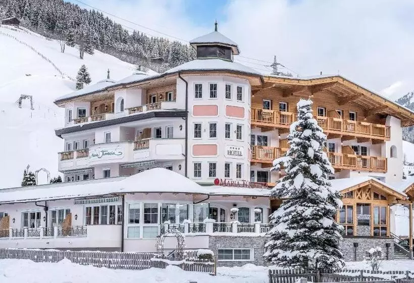 호텔 Maria Theresia