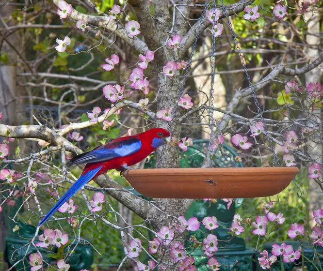 酒店 Moments Mountain Retreat