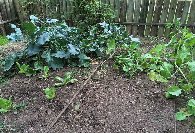 فندق Pousada Vila Tamarindo Eco Lodge