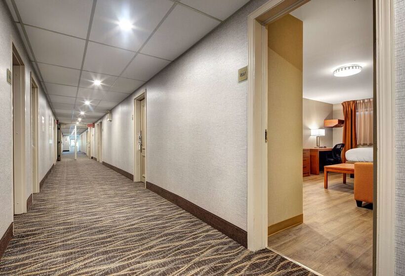 汽车旅馆 Canadas Best Value Inn Richmond Hill