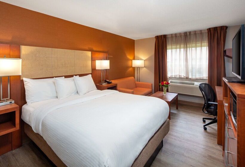 汽车旅馆 Canadas Best Value Inn Richmond Hill