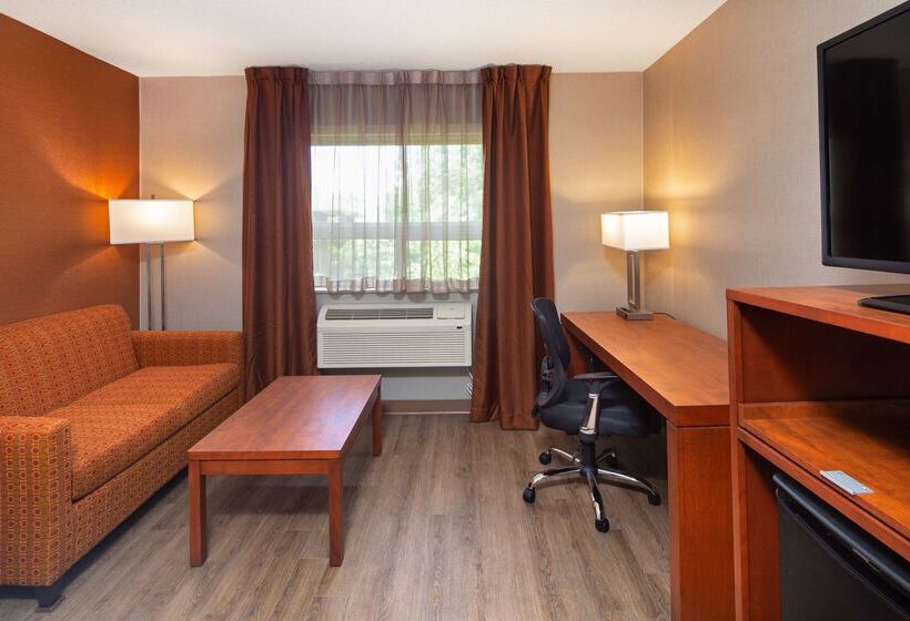 汽车旅馆 Canadas Best Value Inn Richmond Hill