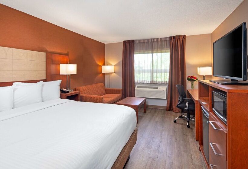 汽车旅馆 Canadas Best Value Inn Richmond Hill