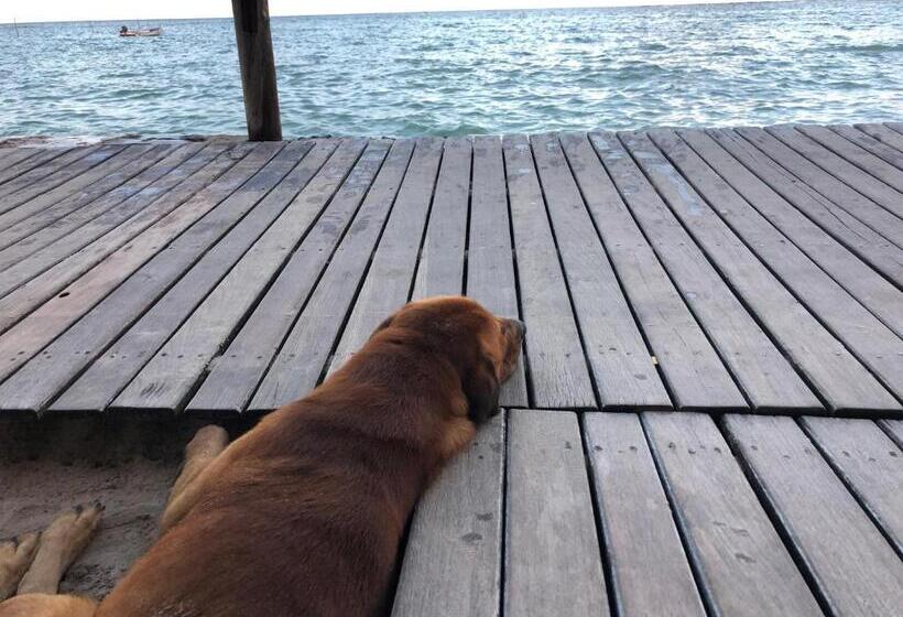 فندق صغير Pousada Tranquila