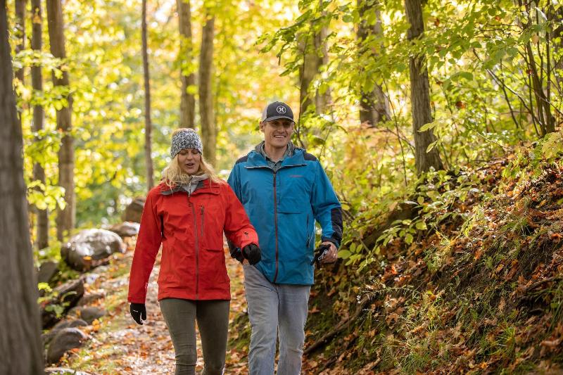 בית מלון כפרי Blue Mountain Resort Mosaic Suites