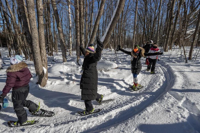 בית מלון כפרי Blue Mountain Resort Mosaic Suites