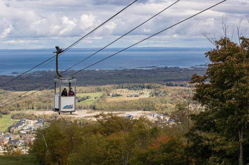 בית מלון כפרי Blue Mountain Resort Mosaic Suites