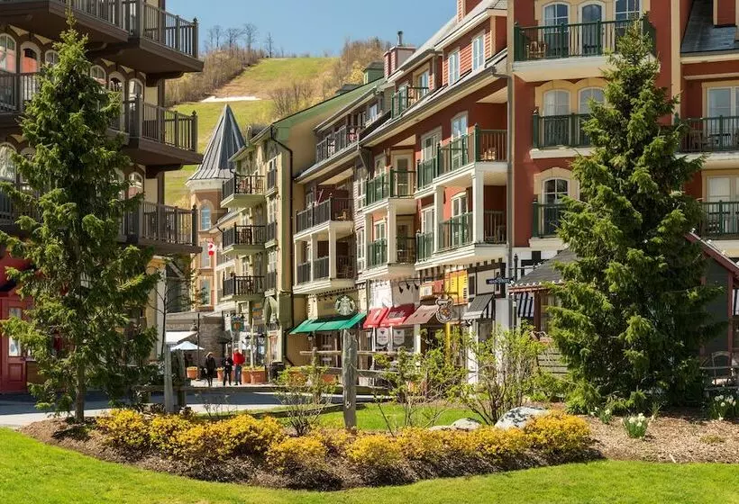 Hotelli Blue Mountain Resort Mosaic Suites