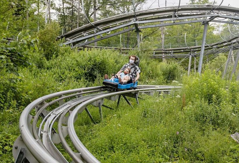 בית מלון כפרי Blue Mountain Resort Mosaic Suites