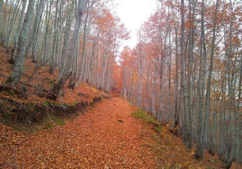 Apartamentos Turísticos Real Valle Ezcaray