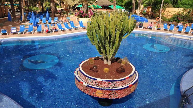 Aparthotel Stella Jandia 