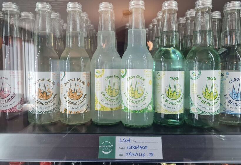 Brit Hotel Orléans St Jean De Braye   L Antarès