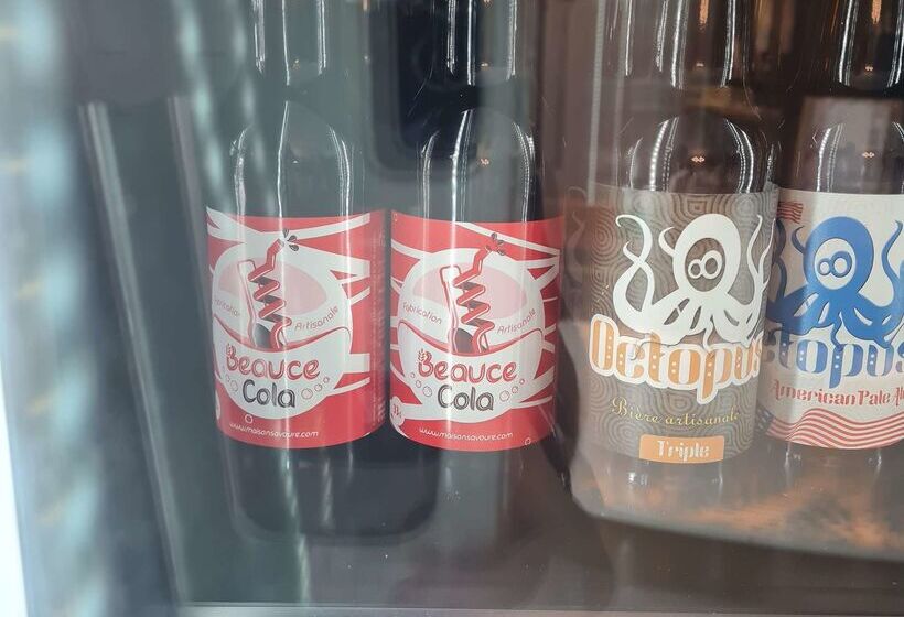 Brit Hotel Orléans St Jean De Braye   L Antarès