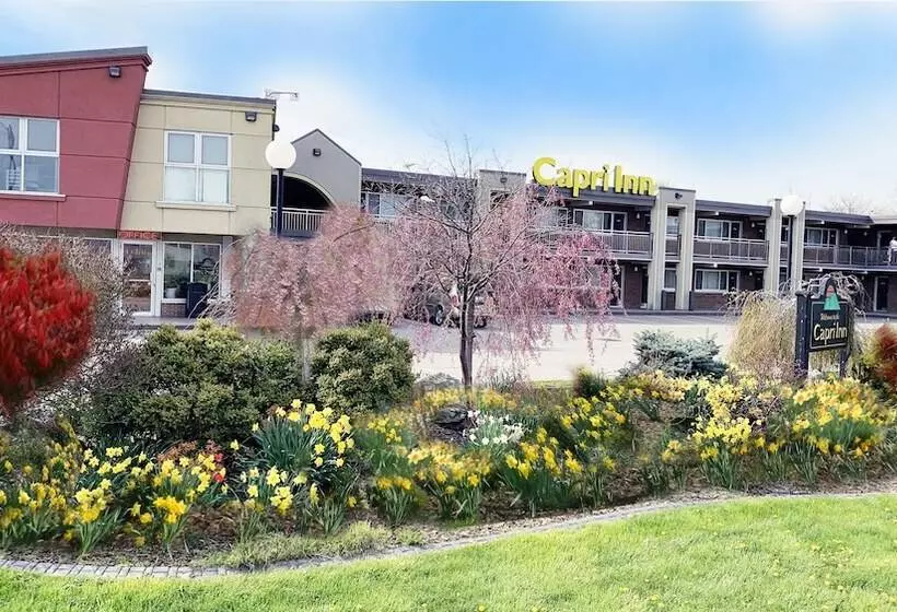 호텔 Capri Inn