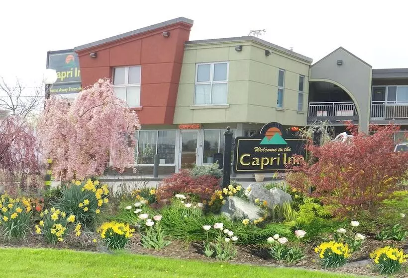 호텔 Capri Inn