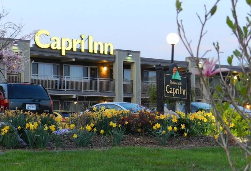 فندق Capri Inn