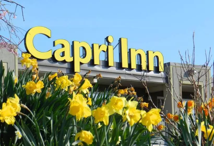 호텔 Capri Inn