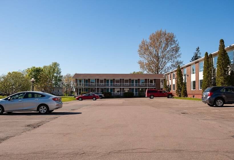 Отель Dutch Inn