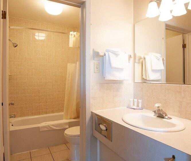 Отель Dutch Inn