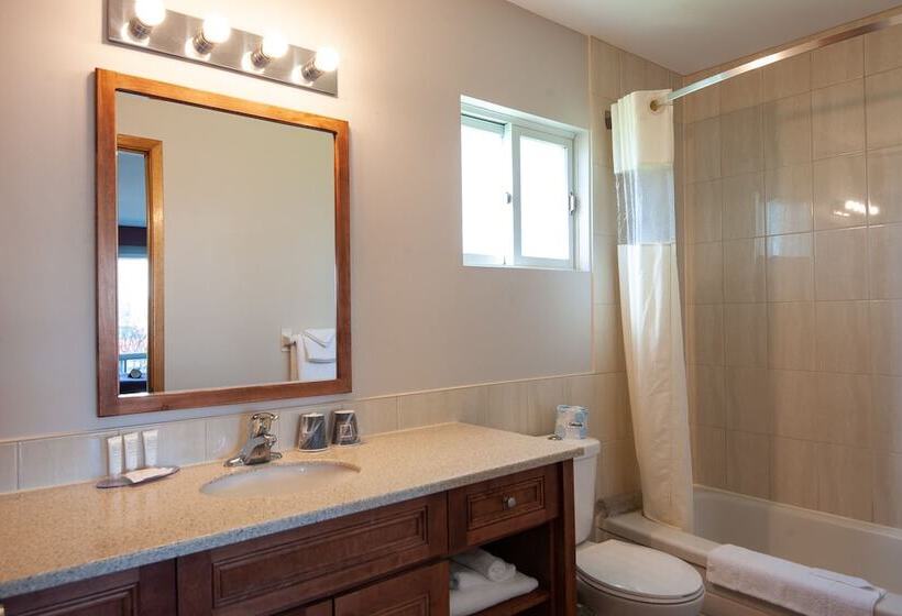 Отель Dutch Inn