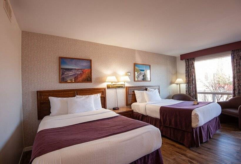 Отель Dutch Inn