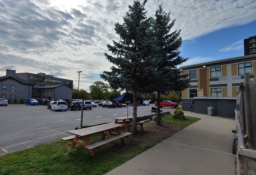 فندق Econo Lodge City Centre