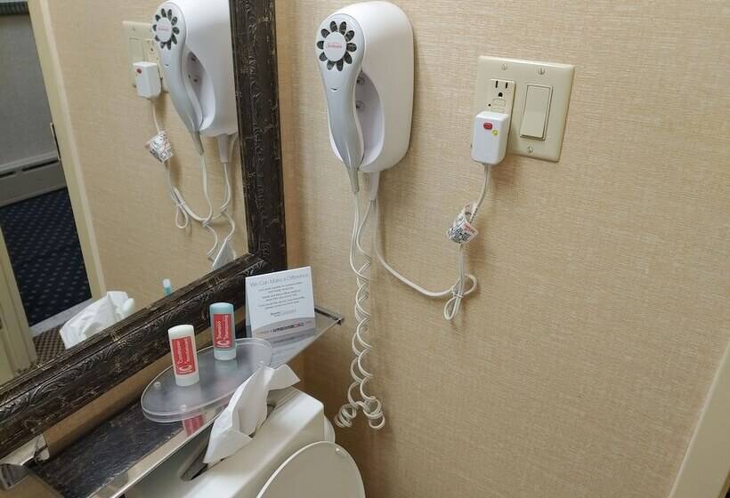 فندق Econo Lodge City Centre