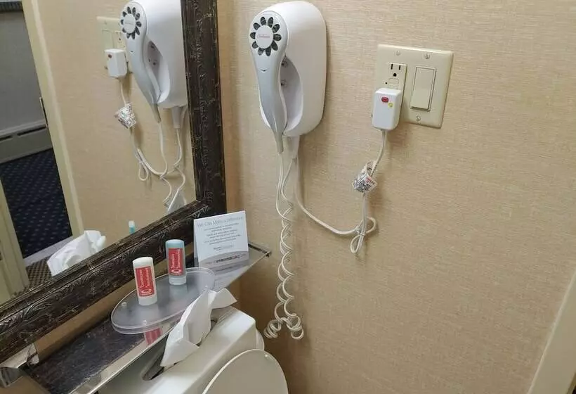 فندق Econo Lodge City Centre