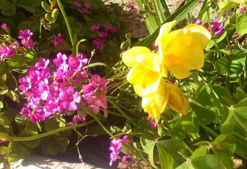 בית מלון כפרי La Reserve