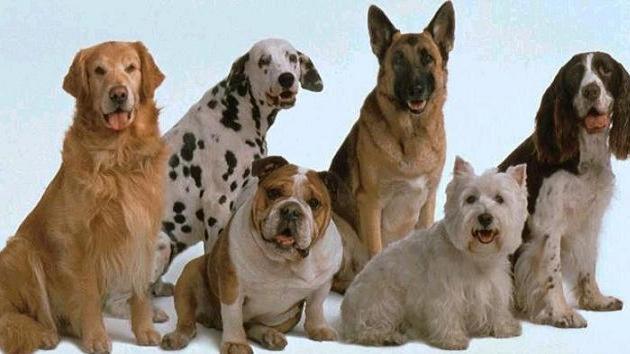 酒店 L'alcova Turisme Rural