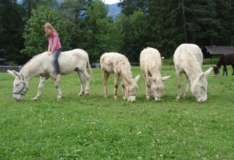 فندق Nattererboden