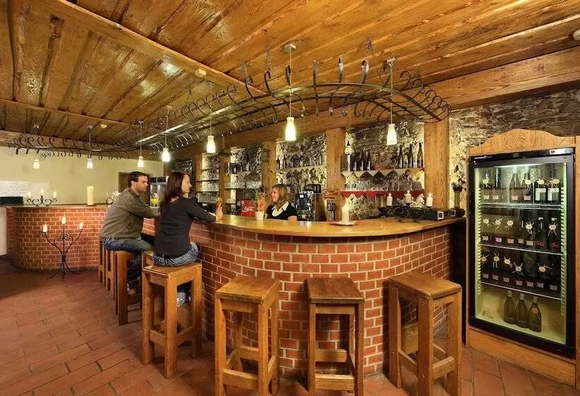 Hotel Záviš Z Falkenštejna