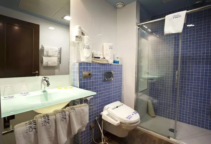 Suites Gran Via 44