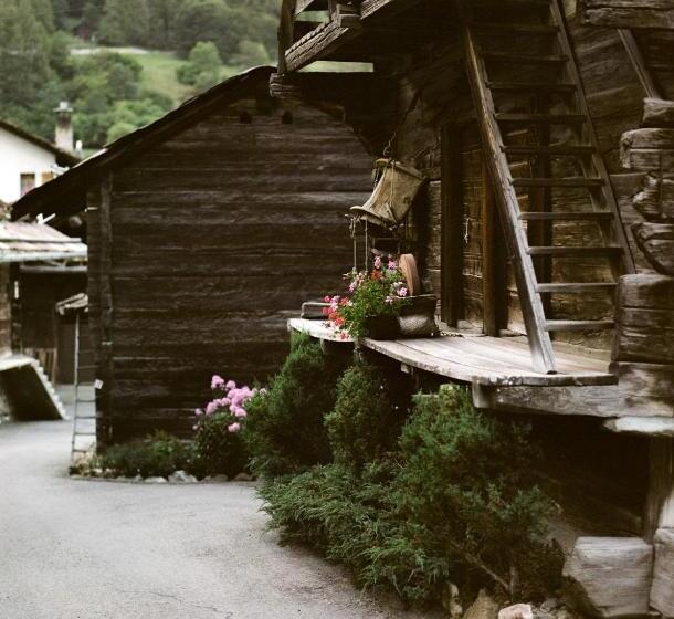 酒店 Hôtel Dents De Veisivi