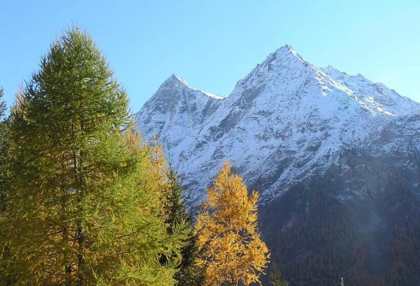 酒店 Hôtel Dents De Veisivi