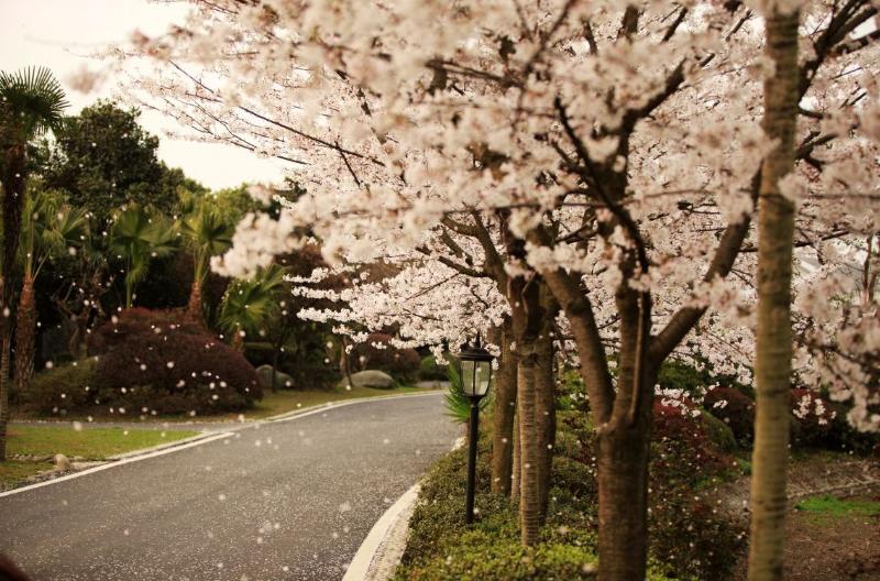 Hotell Meng Tong Quan