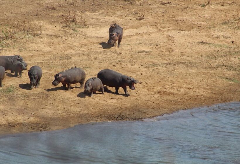 בית מלון כפרי Mthimkhulu Private Game Reserve Adults Only