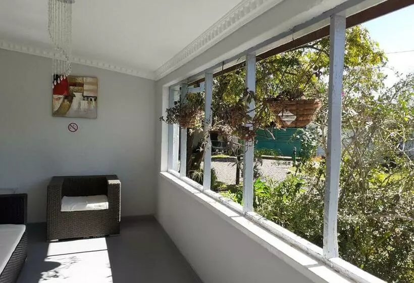 Driftwood Boutique Bed And Breakfast