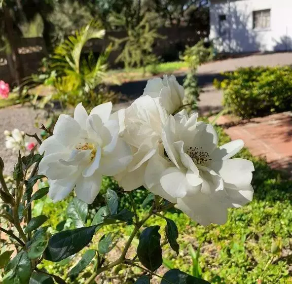 Driftwood Boutique Bed And Breakfast