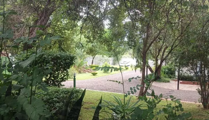 Driftwood Boutique Bed And Breakfast