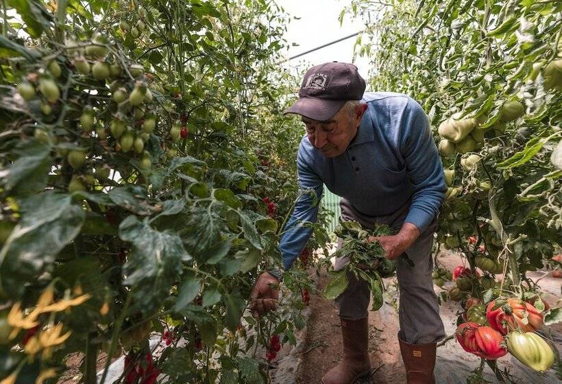 پانسیون Cala Cala Rooms,restaurant & Farm Experience